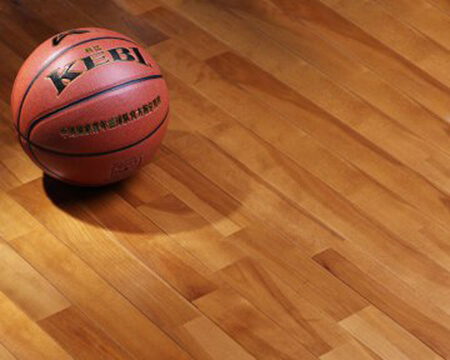 籃球館解決方案